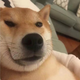 6751dd1362f4d.png