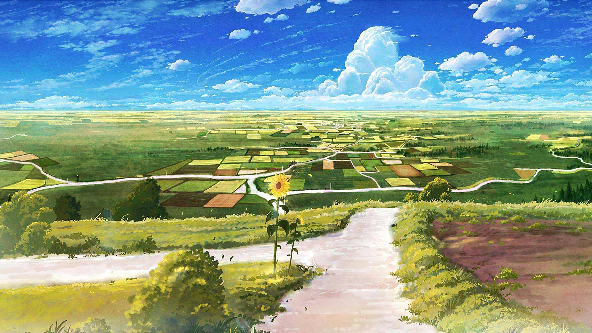 6788b2c9951c5.png