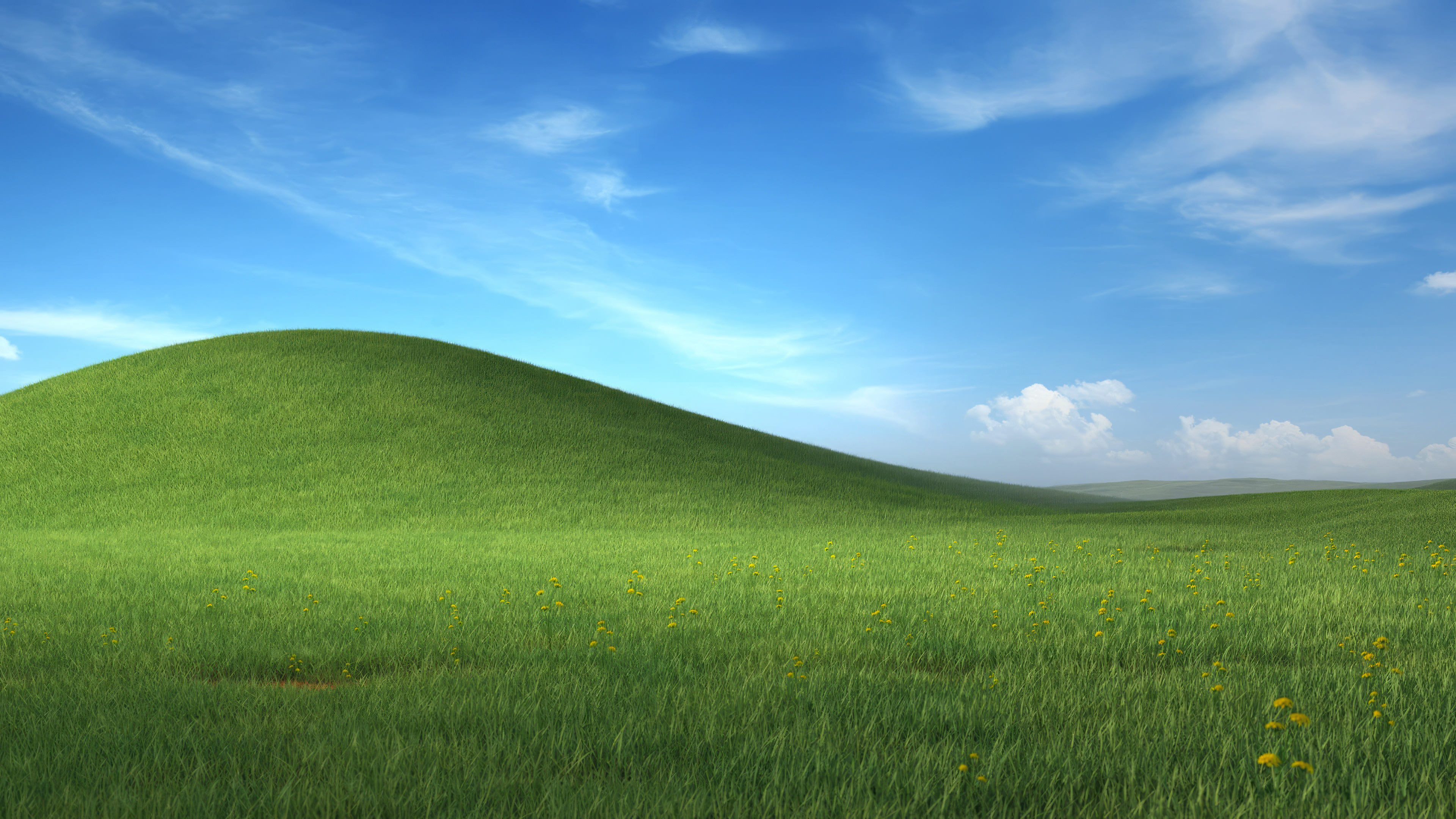 6789bb126a31f.png