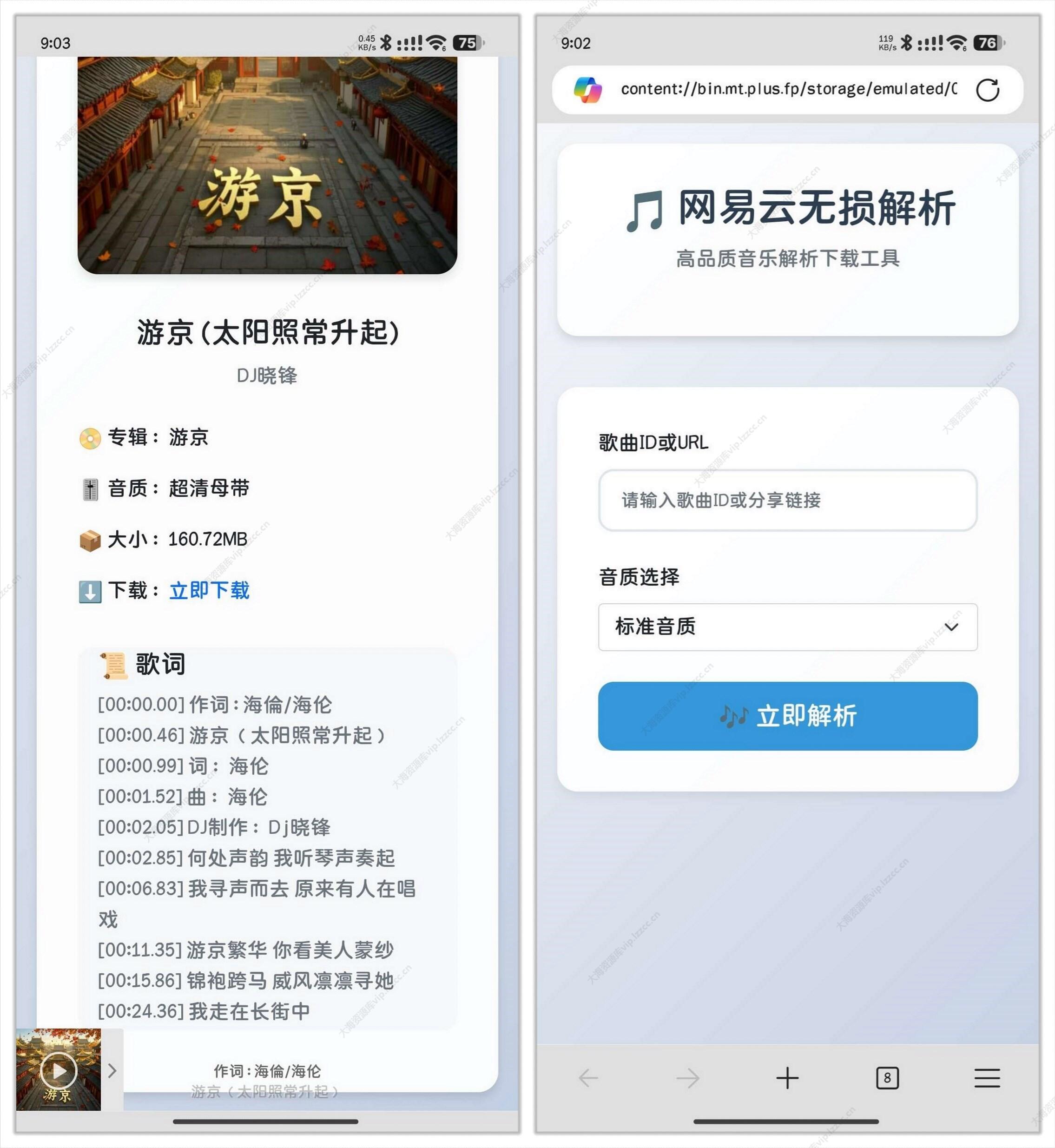 网易云无损解析 零成本无服务器搭建 HTML 静态网页-洛洛资源库